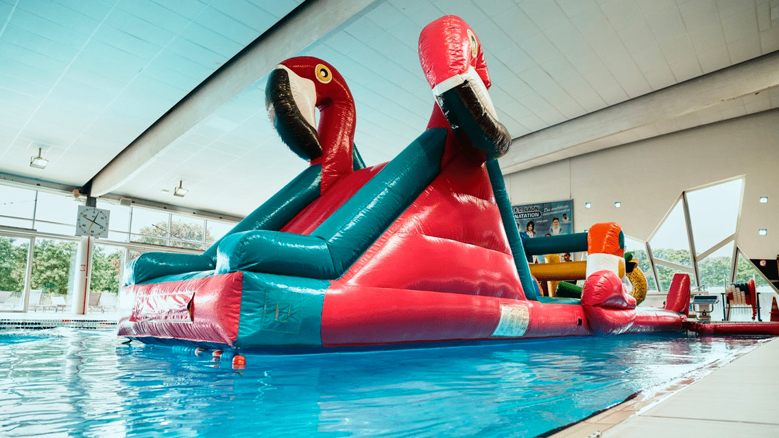 Le-Dome-de-LaonAquatique_2